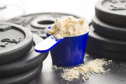 Diferencias entre las fuentes de proteína