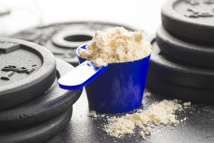 Diferencias entre las fuentes de proteína