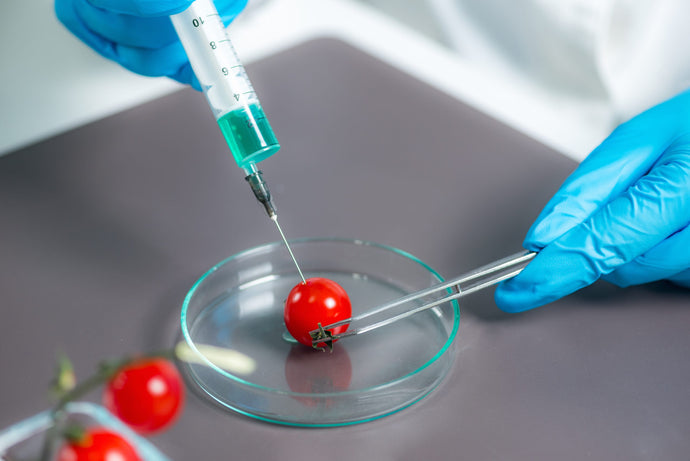 ALIMENTOS ORGÁNICOS, NATURALES Y LIBRES DE OGM